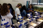 UNIP - Um Dia no Campus